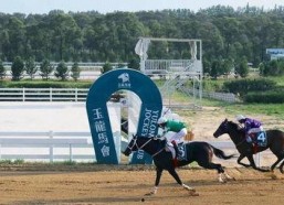 国产无马,引领绿色出行新潮流