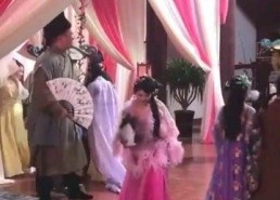 怡红院国产视频,揭秘古代青楼风华绝代的传奇故事