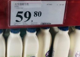 国产大奶,崛起的民族乳业之光